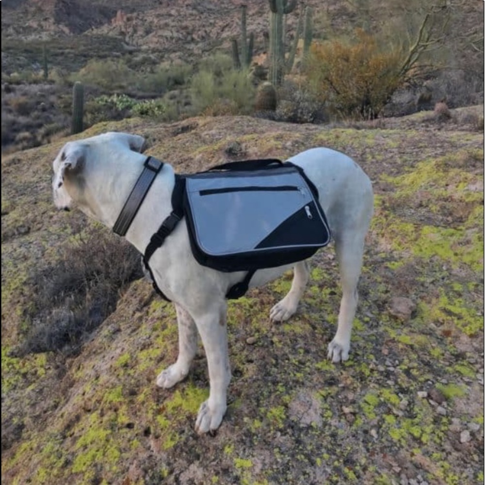 NEW Alcott Doggie Weekender Backpack